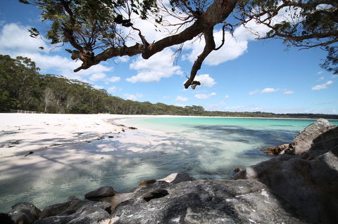 The Edgewater On Greville - Accommodation Bookings 36