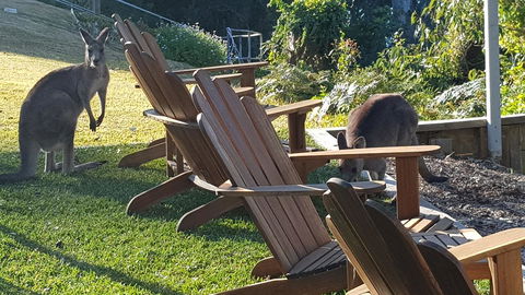 The Edgewater On Greville - Accommodation Bookings 18