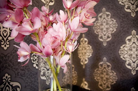 Hotel Challis Potts Point - Accommodation Bookings 14