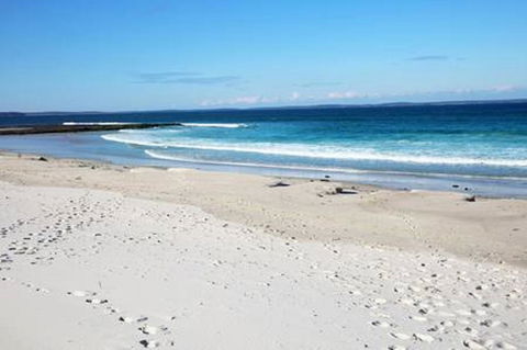 Jervis Bay Beach Shack I Pet Friendly - Accommodation Bookings 16