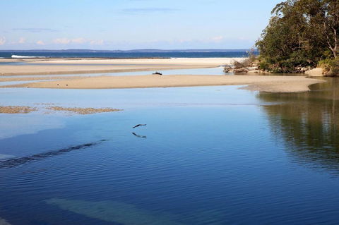 Jervis Bay Beach Shack I Pet Friendly - Accommodation Bookings 19