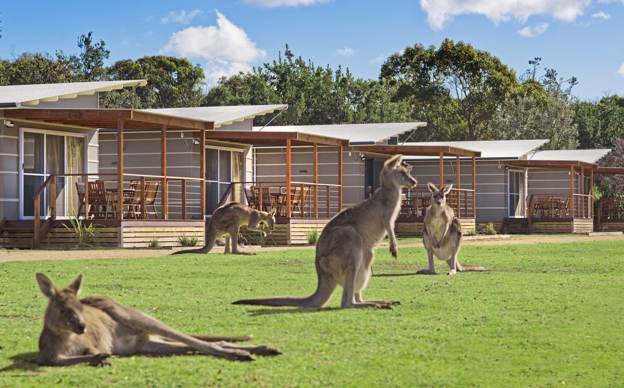  Accommodation Bookings