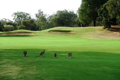 Mulwala Resort - Accommodation Bookings 40