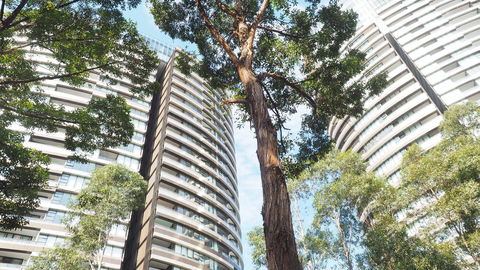SkyGarden Sydney Olympic Park 3 & 4 Bedroom City View - Accommodation Bookings 33