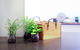 Vibrant Inner-city Living - Darling Harbour Fringe - thumb 11