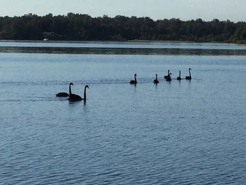 Swan Bay Hideaway - Accommodation Bookings 7