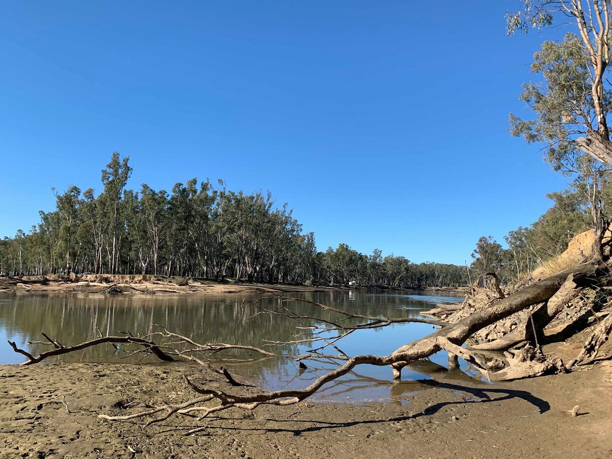 Corowa Bindaree Holiday Park - thumb 1