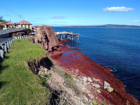 Como Lodge - Accommodation Bookings 19