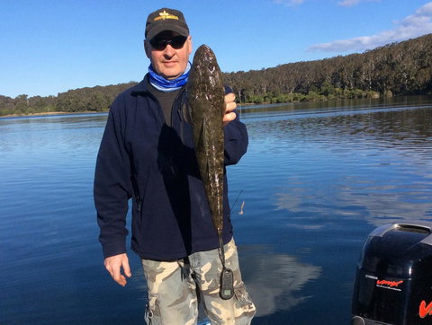 Como Lodge - Accommodation Bookings 22