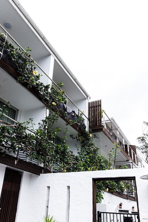 Bannisters By The Sea Mollymook - Accommodation Bookings 4
