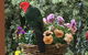 The Best Exotic Magnolia Cottage - thumb 32