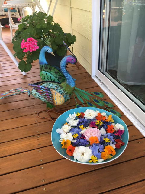 The Best Exotic Magnolia Cottage - Accommodation Bookings 8
