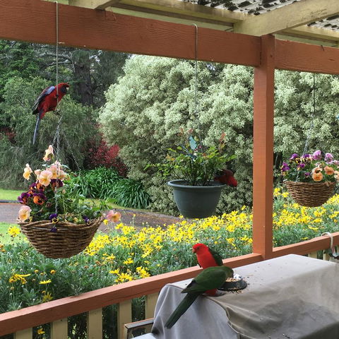 The Best Exotic Magnolia Cottage - Accommodation Bookings 33