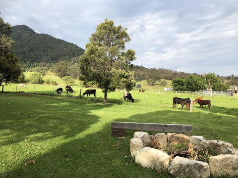 Arcadia - The Barn Cottage & Rosehill Cottage - Accommodation Bookings 29