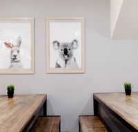 Mad Monkey Backpackers on Broadway - Accommodation Bookings