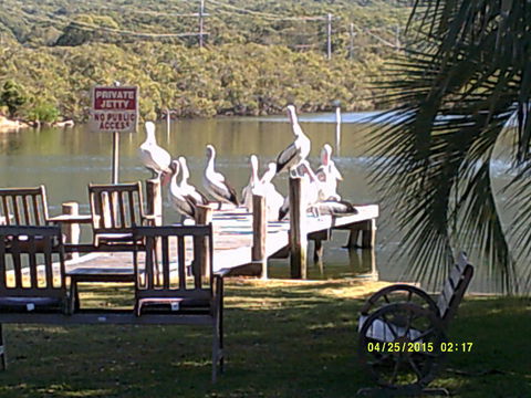 Pelican H2O One & Two Bedroom Apartments - Accommodation Bookings 9