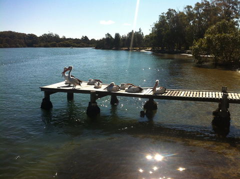 Pelican H2O One & Two Bedroom Apartments - Accommodation Bookings 5