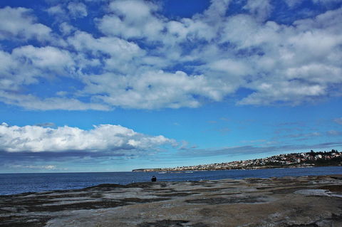 Little Coogee Hotel - Accommodation Bookings 39