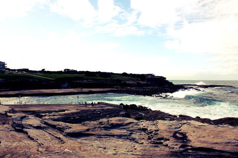 Little Coogee Hotel - Accommodation Bookings 41