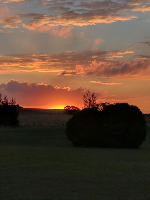 Madigan Wine Country Cottages - Accommodation Bookings 13