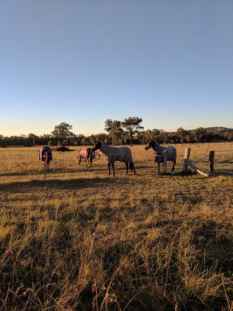 Madigan Wine Country Cottages - Accommodation Bookings 8
