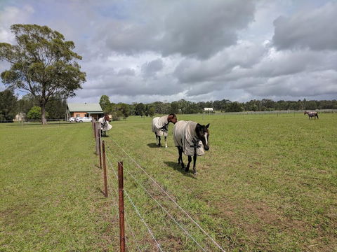 Madigan Wine Country Cottages - Accommodation Bookings 9