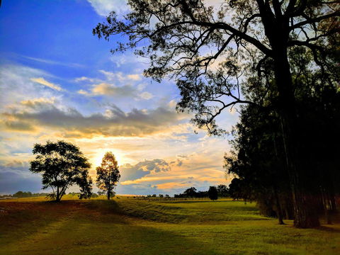 Madigan Wine Country Cottages - Accommodation Bookings 11