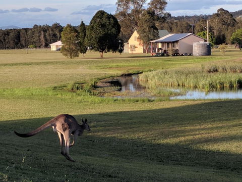 Madigan Wine Country Cottages - Accommodation Bookings 6