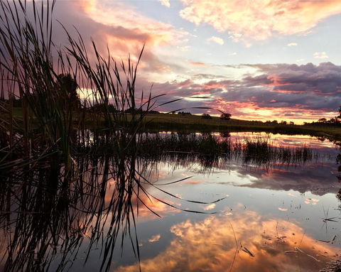 Madigan Wine Country Cottages - Accommodation Bookings 16