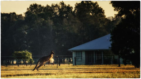 Madigan Wine Country Cottages - Accommodation Bookings 5