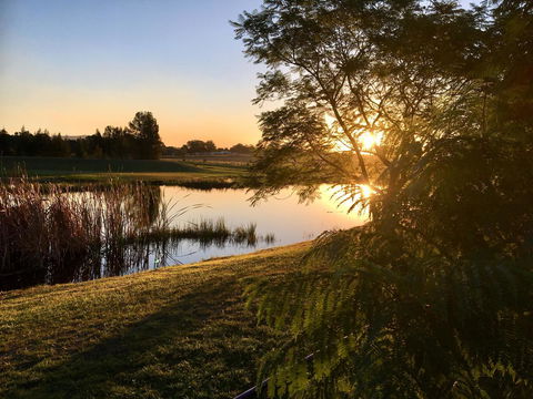 Madigan Wine Country Cottages - Accommodation Bookings 17