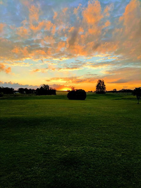 Madigan Wine Country Cottages - Accommodation Bookings 12