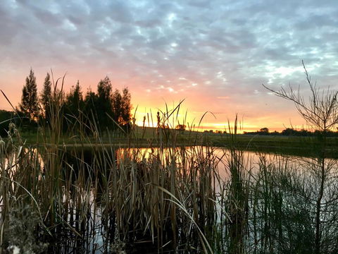 Madigan Wine Country Cottages - Accommodation Bookings 14