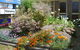 Albury City Motel - thumb 29