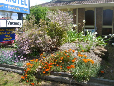 Albury City Motel - Accommodation Bookings 29