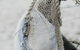 Salt At Shoal Bay - thumb 16