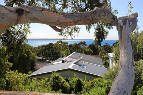 Seaglass - Stunning Views Of Jervis Bay - Accommodation Bookings 26