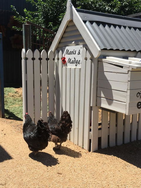 Thelma's Temora - Accommodation Bookings 12