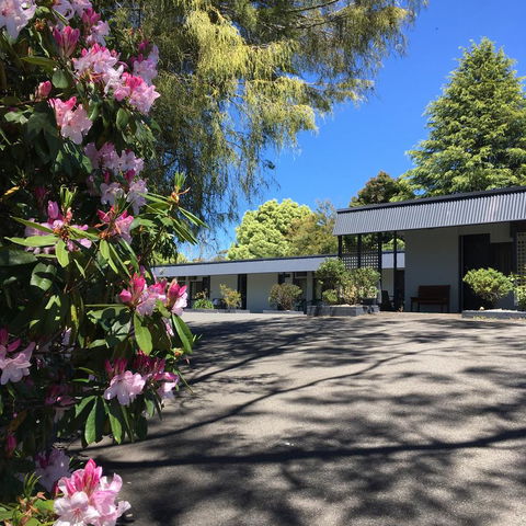 Sky Rider Motor Inn - Accommodation Bookings 14
