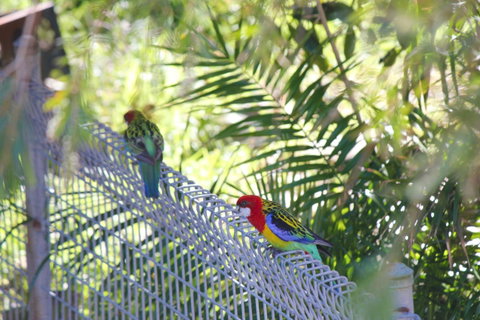 Marty's @ Little Beach - Accommodation Bookings 27