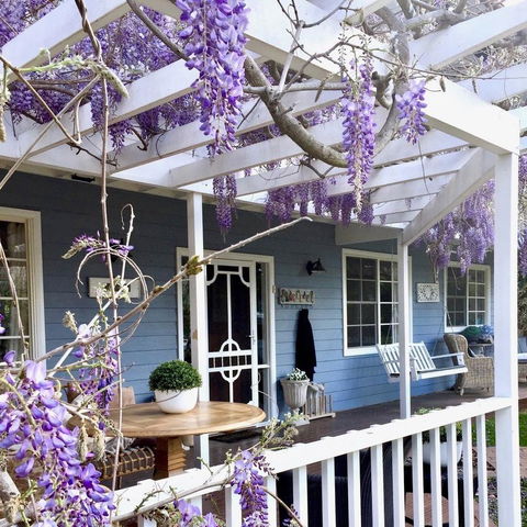Bowral Escape - Accommodation Bookings 1