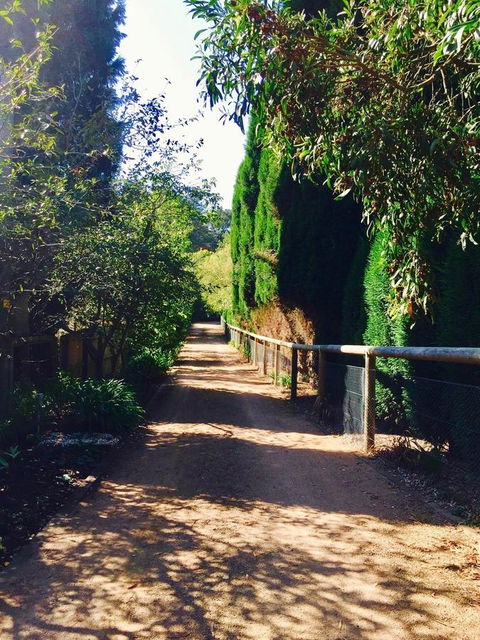 Bowral Escape - Accommodation Bookings 24
