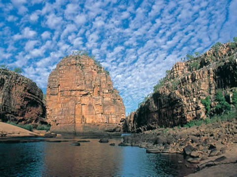 Pine Tree Motel - Accommodation Bookings 42