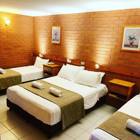 Pine Tree Motel - Accommodation Bookings 19