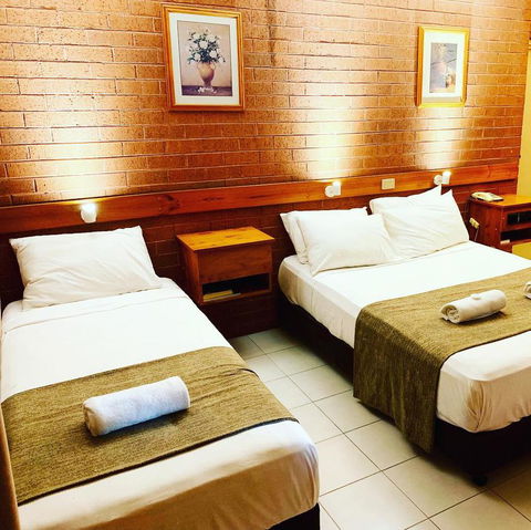 Pine Tree Motel - Accommodation Bookings 27