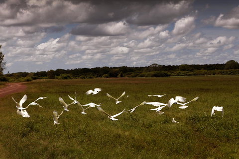 Wildman Wilderness Lodge - Accommodation Bookings 20