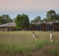 Wildman Wilderness Lodge