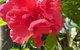 Darwin Beach Escape Holiday Home - thumb 24