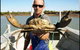 Darwin Beach Escape Holiday Home - thumb 32