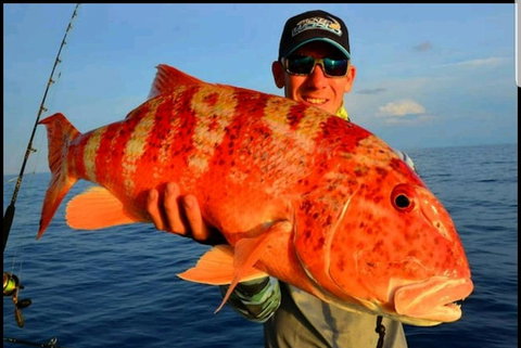 Darwin Beach Escape Holiday Home - Accommodation Bookings 15